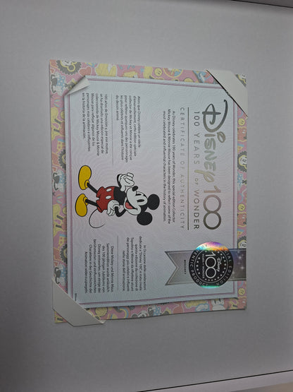 Disney 100 Jahre Sammlerset – Mickey & Minnie Mouse Plüschfiguren (limitiert)